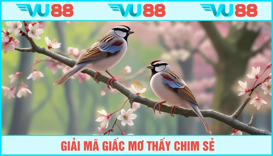 VU88 Mơ Thấy Chim Sẻ Ngụ Ý Điềm Báo Gì? Là Vận May Hay Rủi?