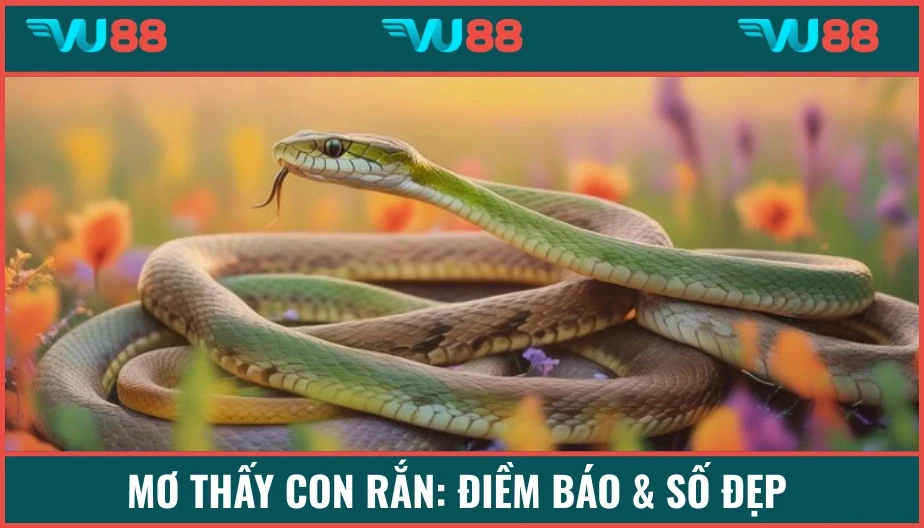 VU88 Mơ Thấy Con Rắn Báo Điềm Gì? Giải Mã Thông Điệp Cùng Vu88