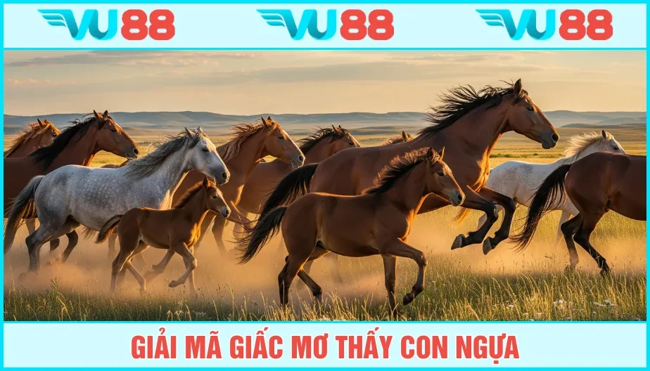VU88 Mơ Thấy Con Ngựa - VU88 Bật Mí Thông Điệp Và Lô Đề May Mắn
