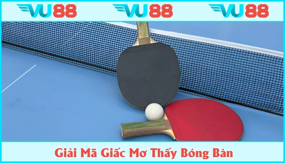 VU88 Mơ Thấy Bóng Bàn Ẩn Hàm Điều Gì? Giải Mã Ý Nghĩa Và Số Đẹp
