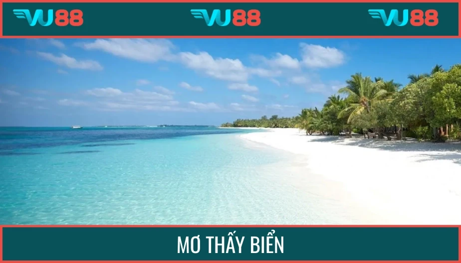 VU88 Mơ Thấy Biển Điềm Báo Là Gì? Luận Giải Con Số Tương Ứng