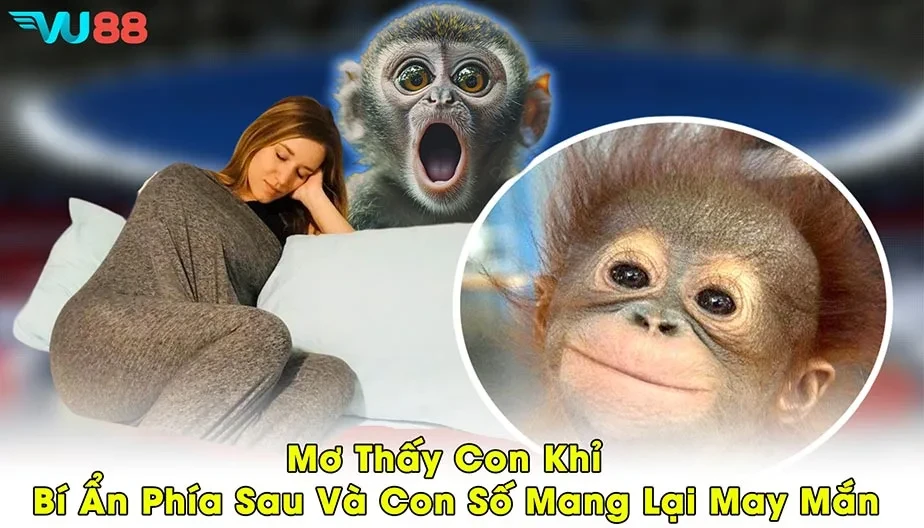 VU88 Mơ Thấy Con Khỉ - Bí Ẩn Phía Sau Và Con Số Mang Lại May Mắn